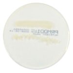 PRM001 Nutrient Agar Plate-Salmonella Enteritidis ATCC 13076