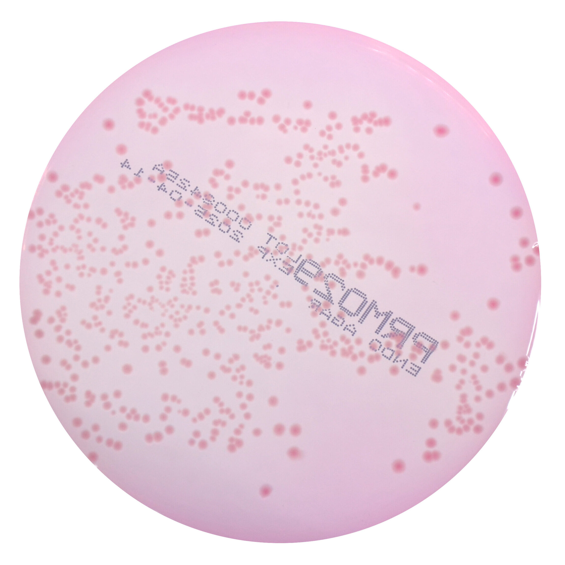 PRM029 Endo Agar Plate-Shigella flexneri ATCC 12022
