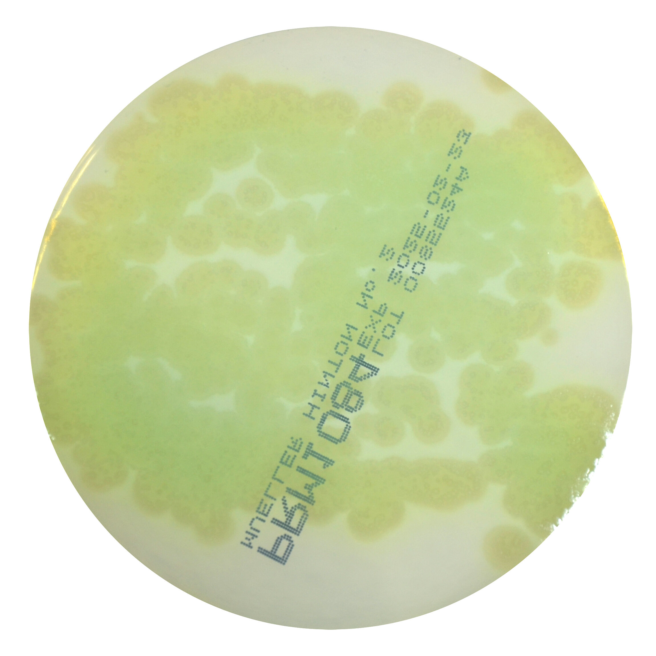 PRM1084 Mueller Hinton No2 Agar Plate-Pseudomonas aeruginosa ATCC 27853