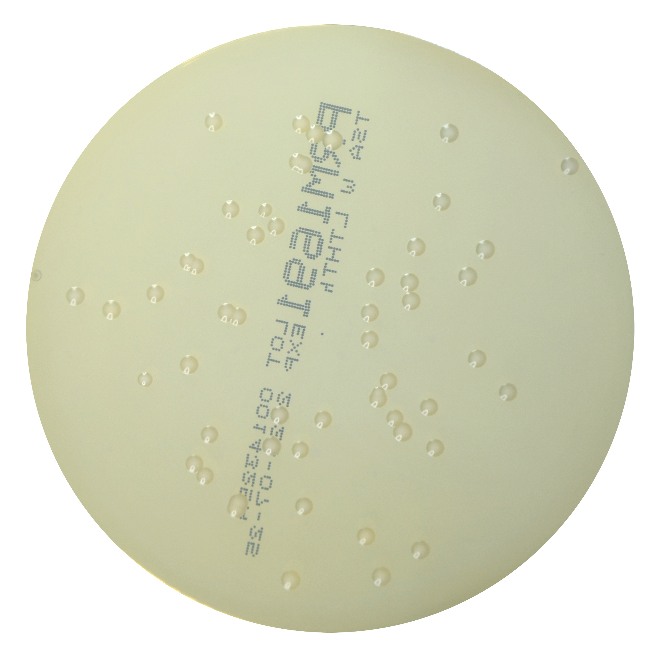 PRM1691 Soyabean Casein Digest Agar Plate w LTHTh-Candida albicans ATCC 10231