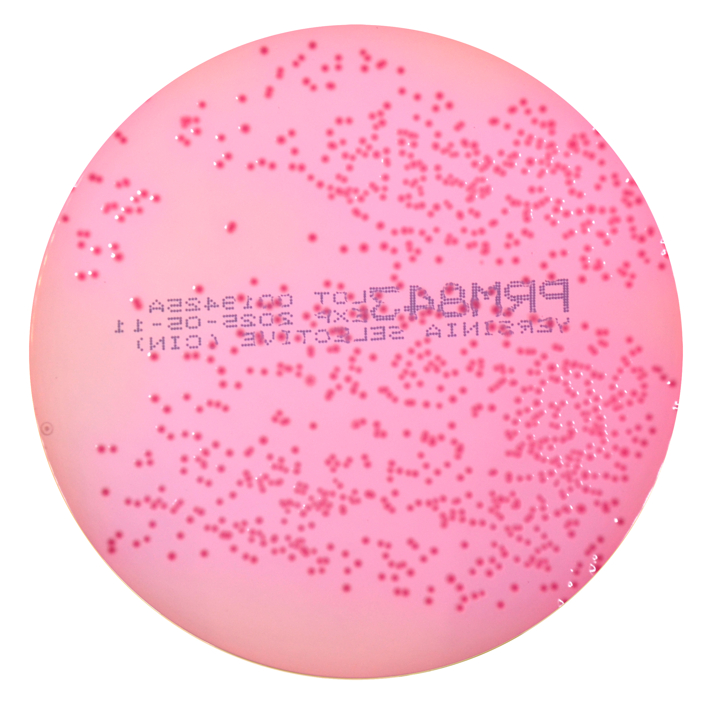 PRM843 Yersinia Selective Agar Plate -Yersinia enterocolitica ATCC 27729