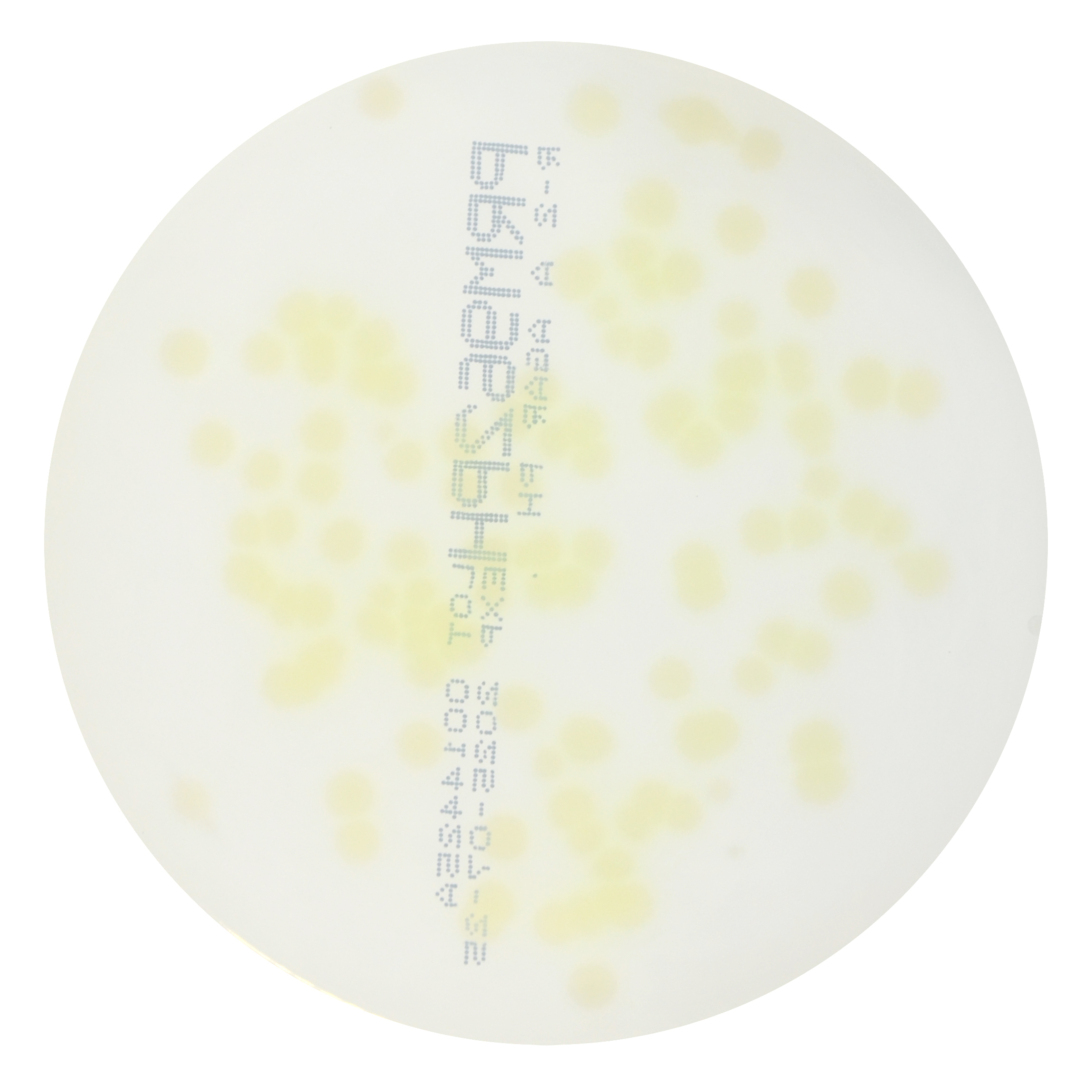 PRM962PH R2A Agar Plate PH-Pseudomonas aeruginosa ATCC9027