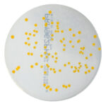 PRM962PH R2A Agar Plate PH-Staphylococcus aureus ATCC 6538