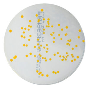 PRM962PH R2A Agar Plate PH-Staphylococcus aureus ATCC 6538
