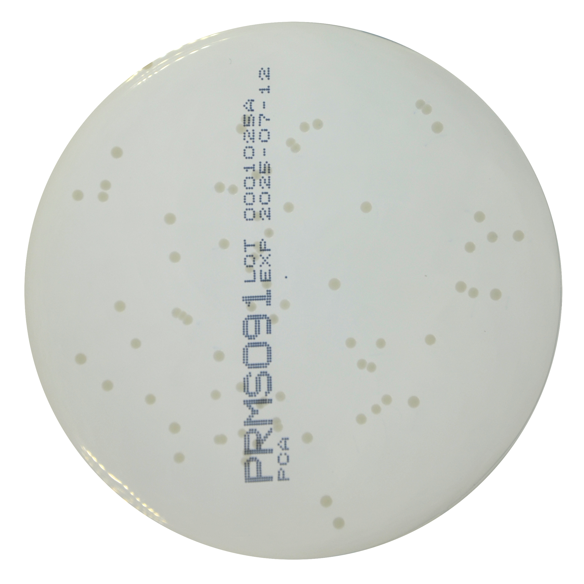 PRMS091 PCA Agar Plate-Enterococcus faecallis ATCC 29212